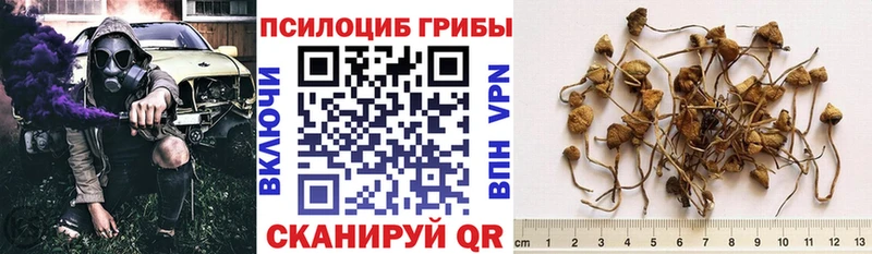 закладки  Донецк  даркнет Telegram  Псилоцибиновые грибы мицелий  кракен ССЫЛКА 